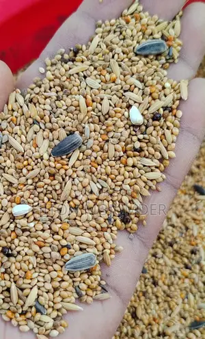 Mixed feed for birds and other food