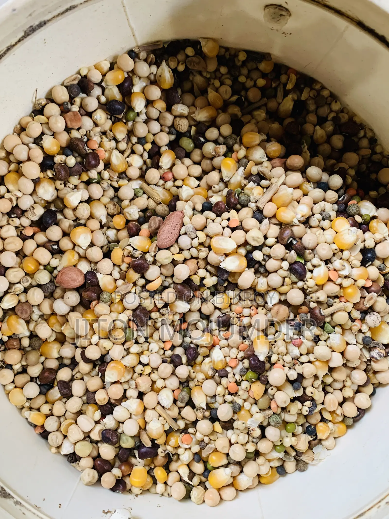 Mixed feed for birds and other food