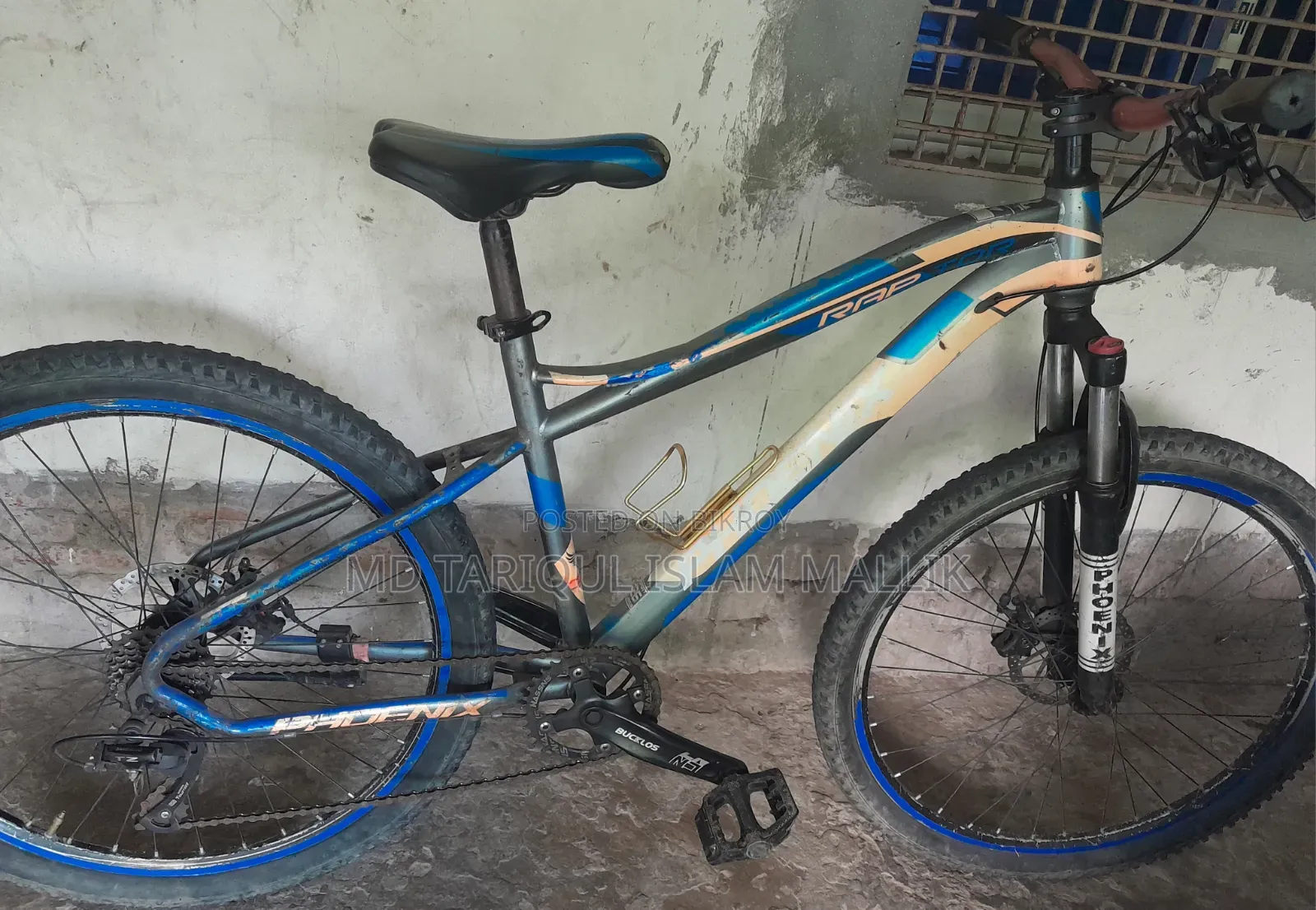 Phoenix Custom Mountain Bicycle