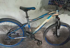 Phoenix Custom Mountain Bicycle