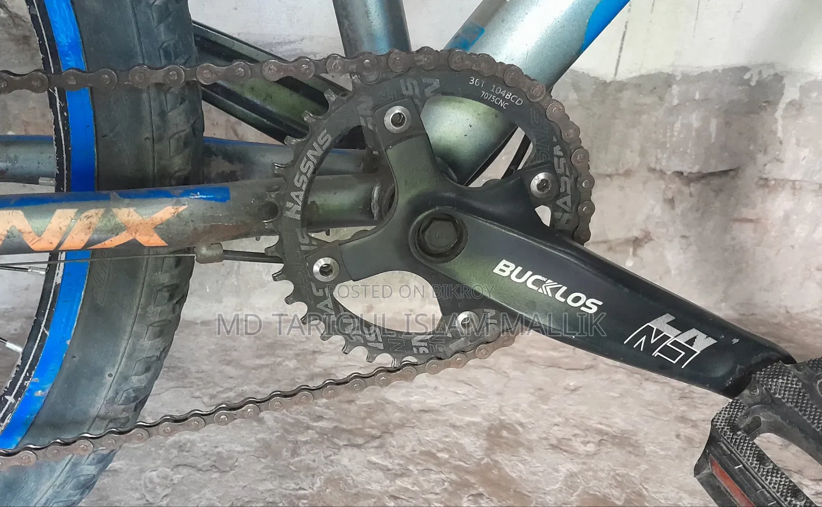 Phoenix Custom Mountain Bicycle