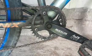 Phoenix Custom Mountain Bicycle