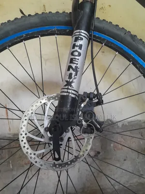 Phoenix Custom Mountain Bicycle