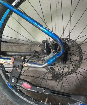 Phoenix Custom Mountain Bicycle