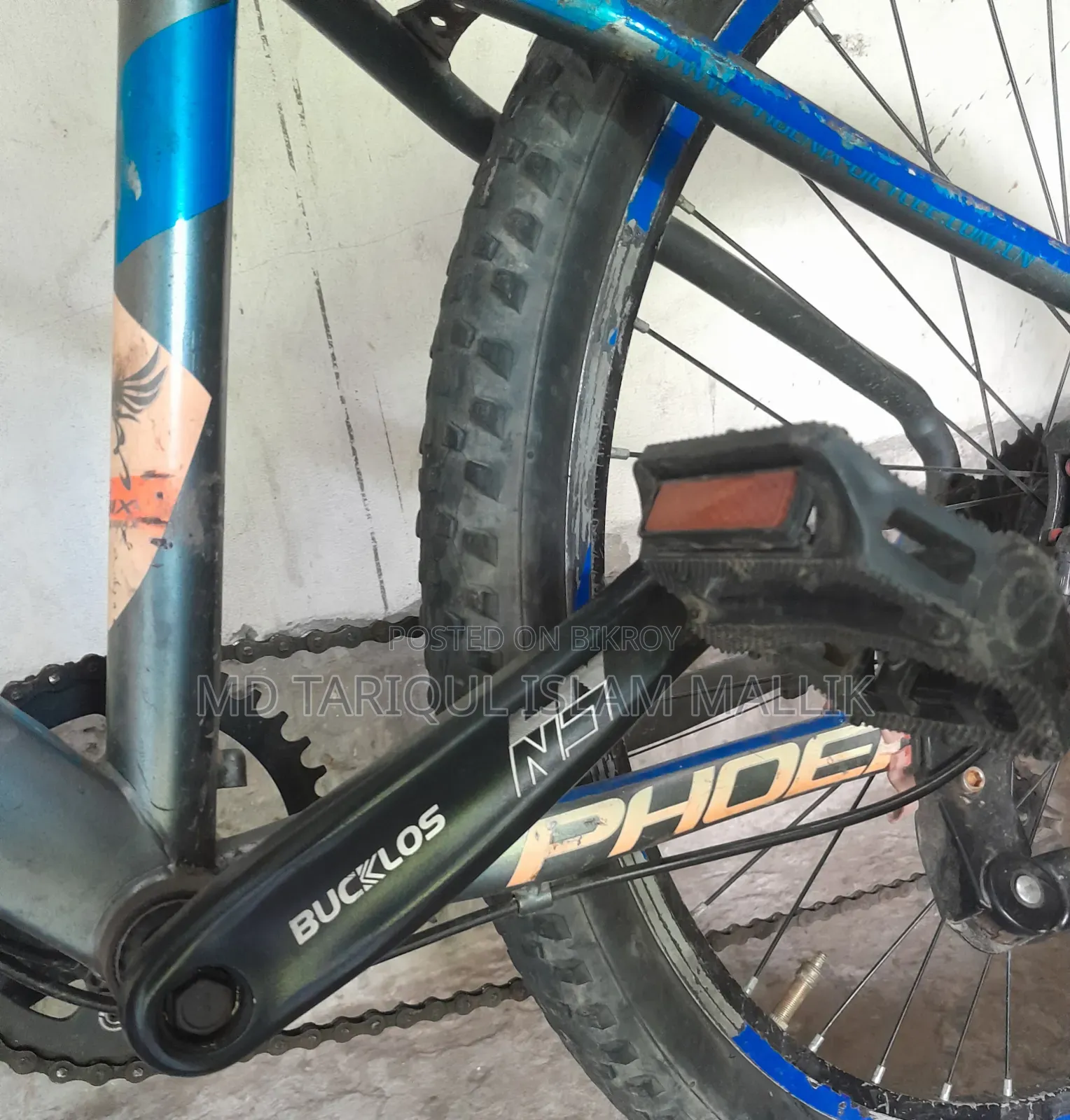 Phoenix Custom Mountain Bicycle