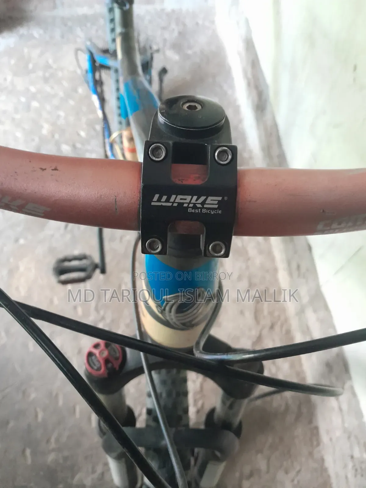 Phoenix Custom Mountain Bicycle