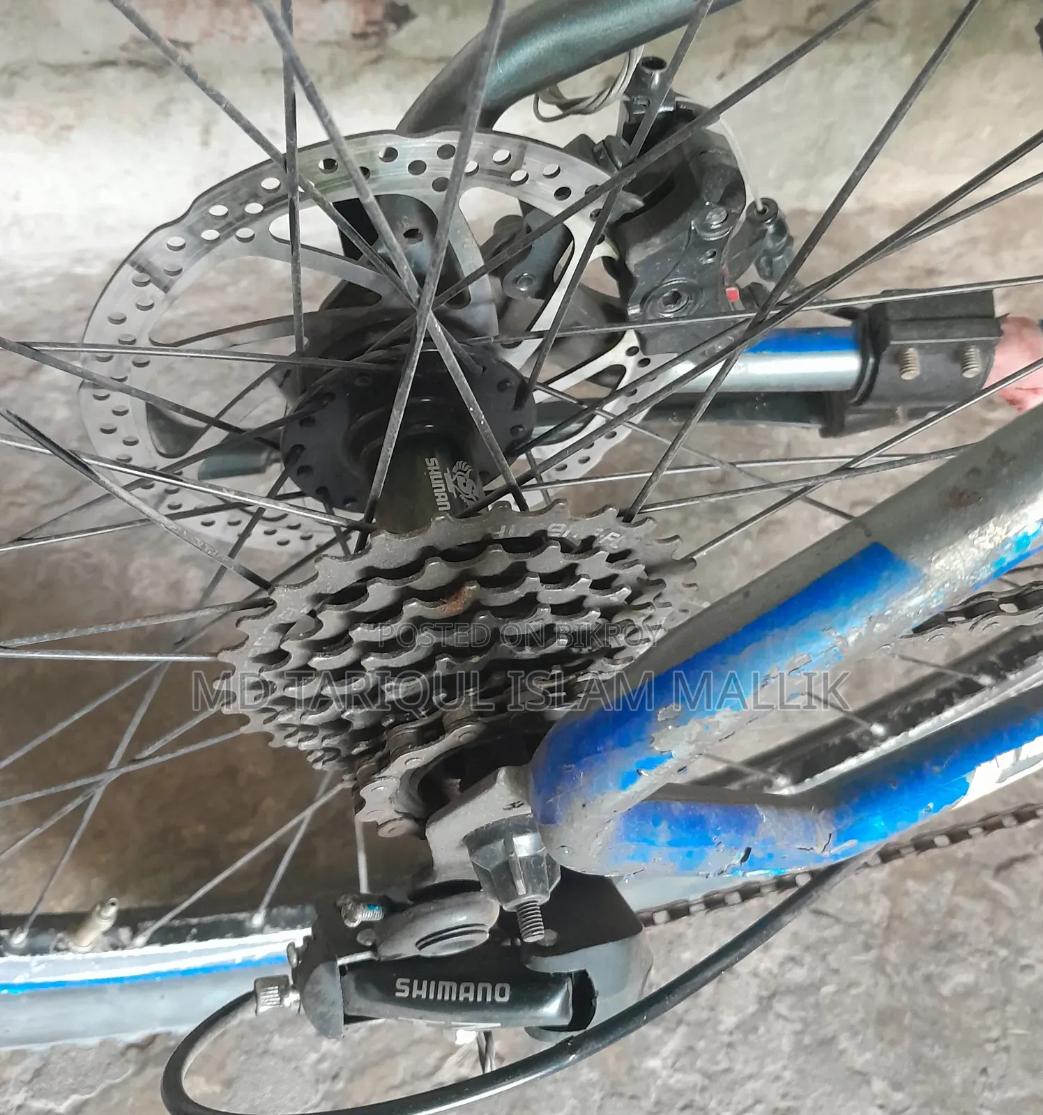 Phoenix Custom Mountain Bicycle