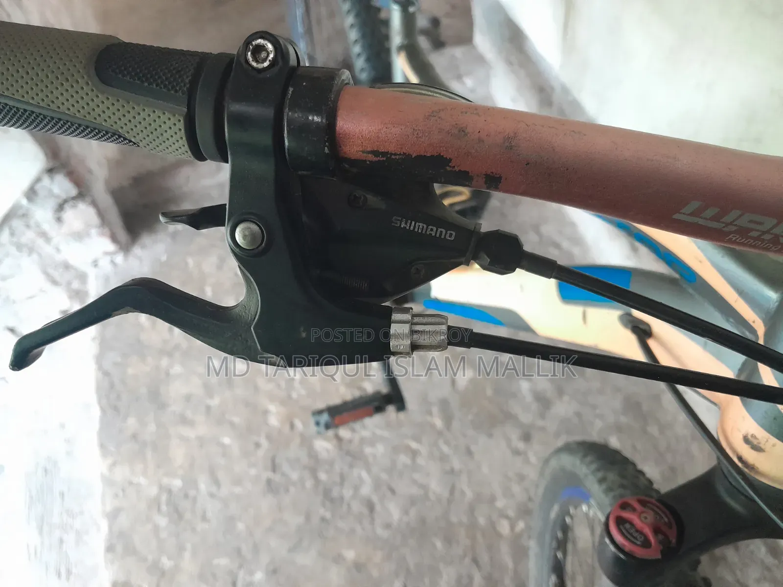Phoenix Custom Mountain Bicycle