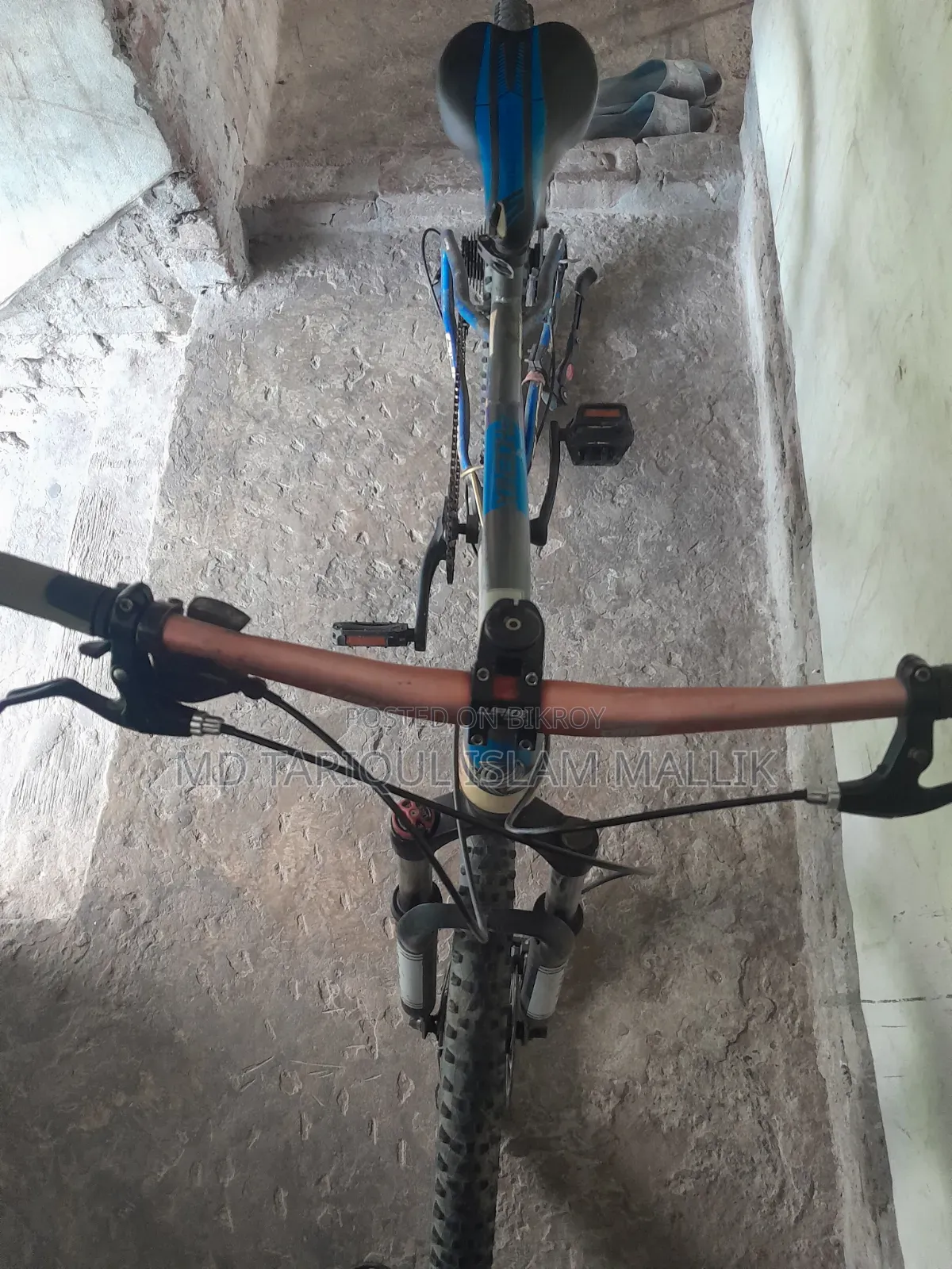 Phoenix Custom Mountain Bicycle