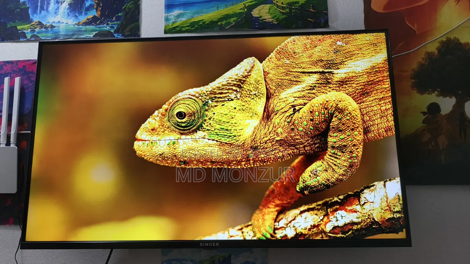 Singer Android TV R4