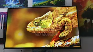 Singer Android TV R4