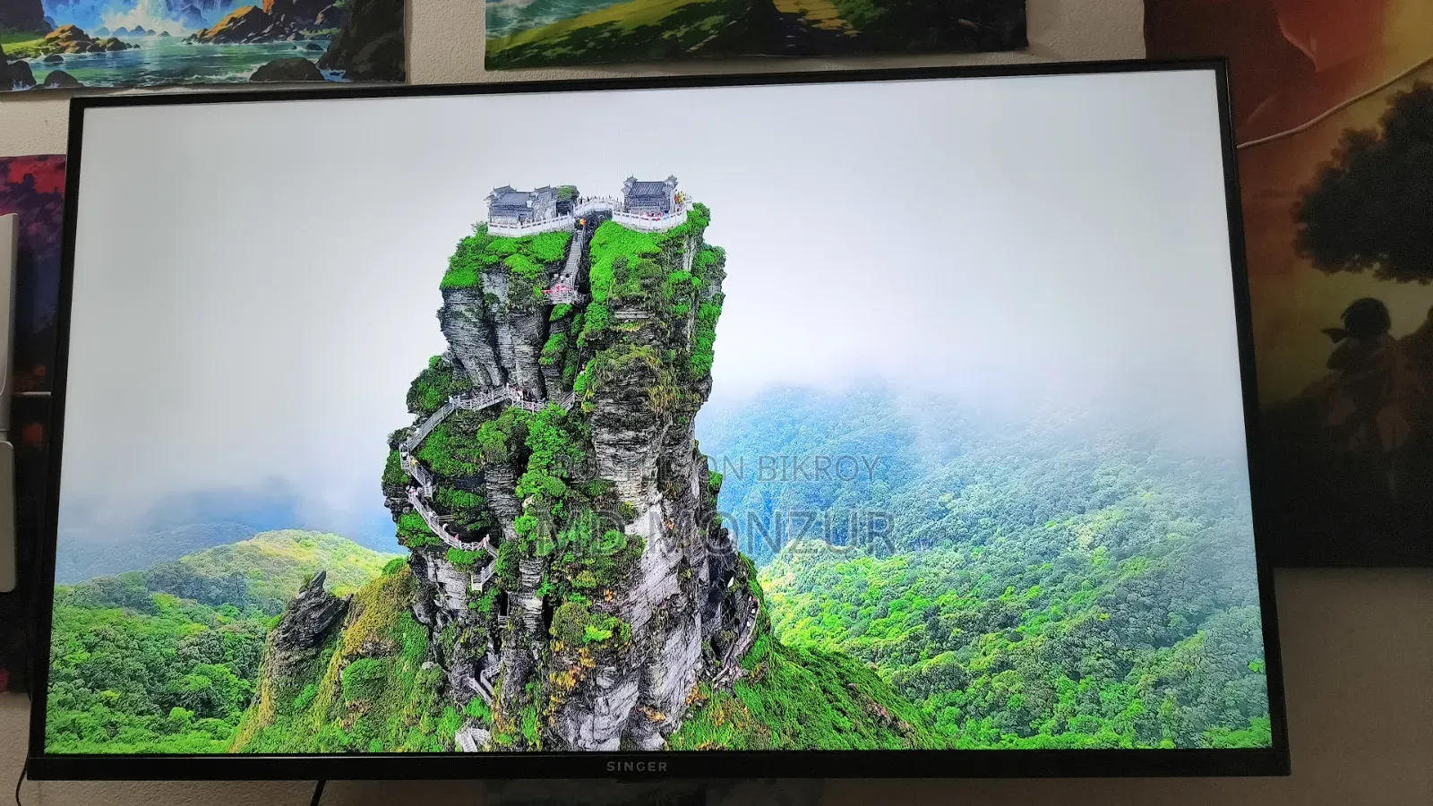Singer Android TV R4
