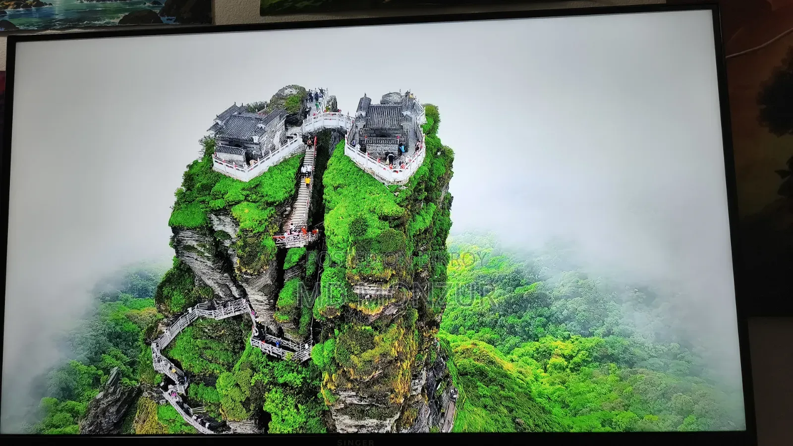 Singer Android TV R4