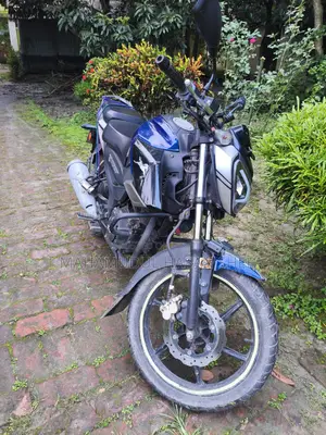 TVS Raider 125 2022 Blue