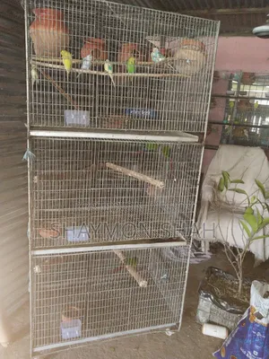 মোরগ তারের বড় খাঁচা বিক্রি করা হবে