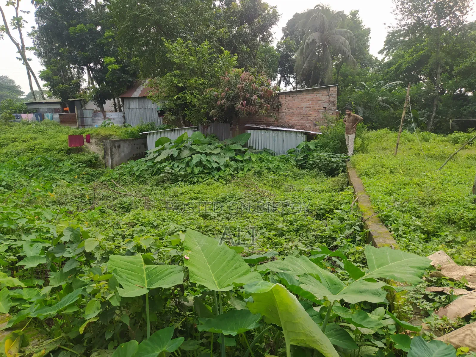 3 Decimals of Land for Sale in Char Ishwardi, Ward 32, Urgent