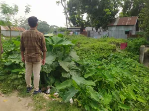 3 Decimals of Land for Sale in Char Ishwardi, Ward 32, Urgent