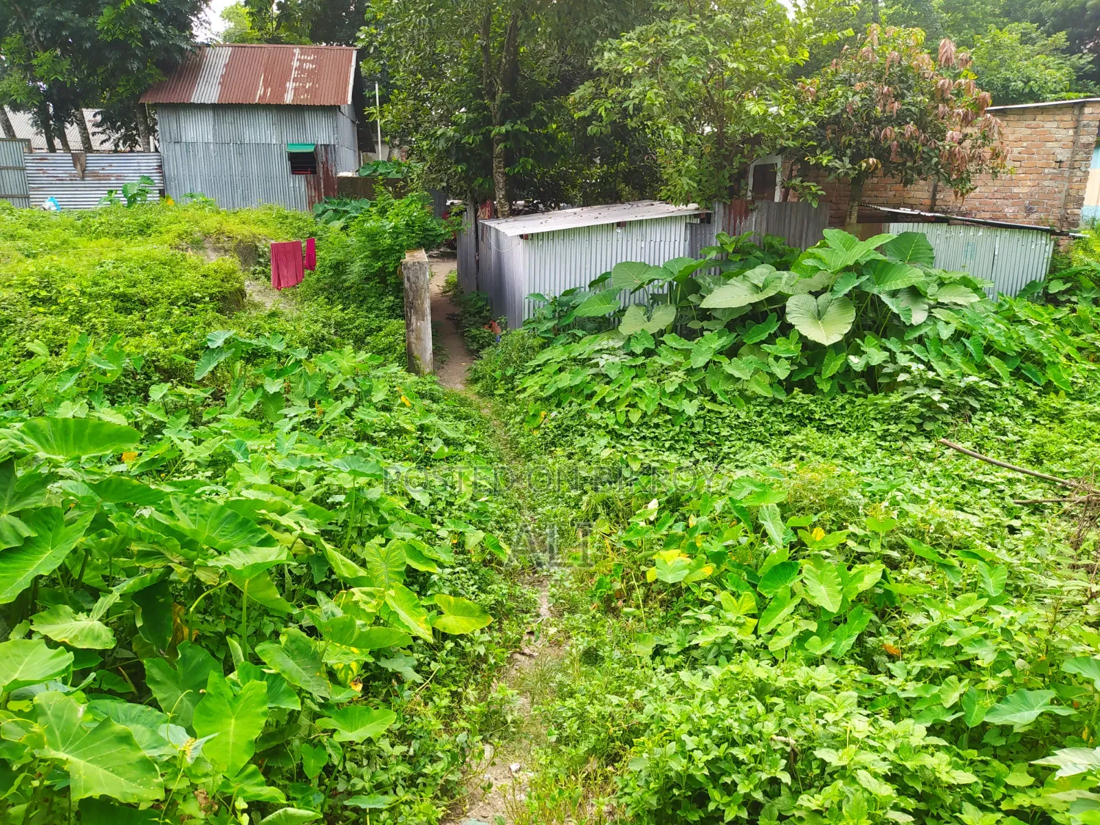 3 Decimals of Land for Sale in Char Ishwardi, Ward 32, Urgent