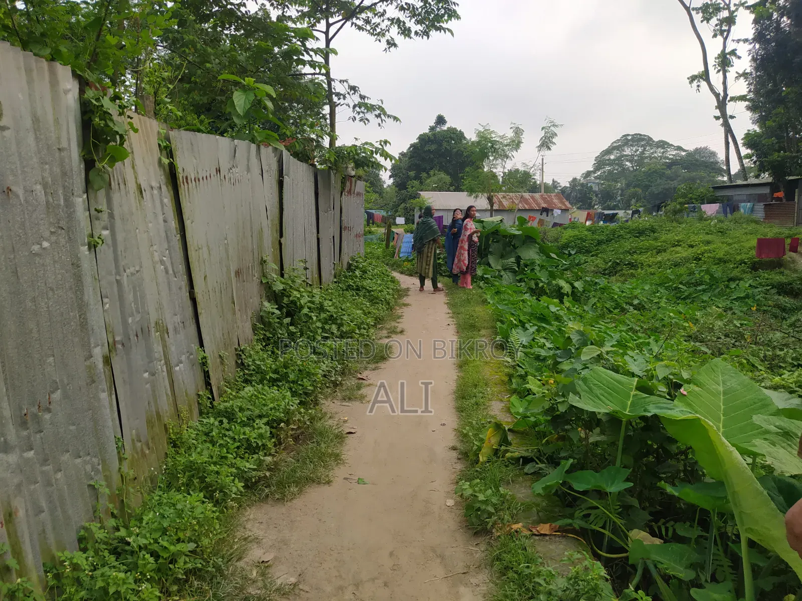 3 Decimals of Land for Sale in Char Ishwardi, Ward 32, Urgent