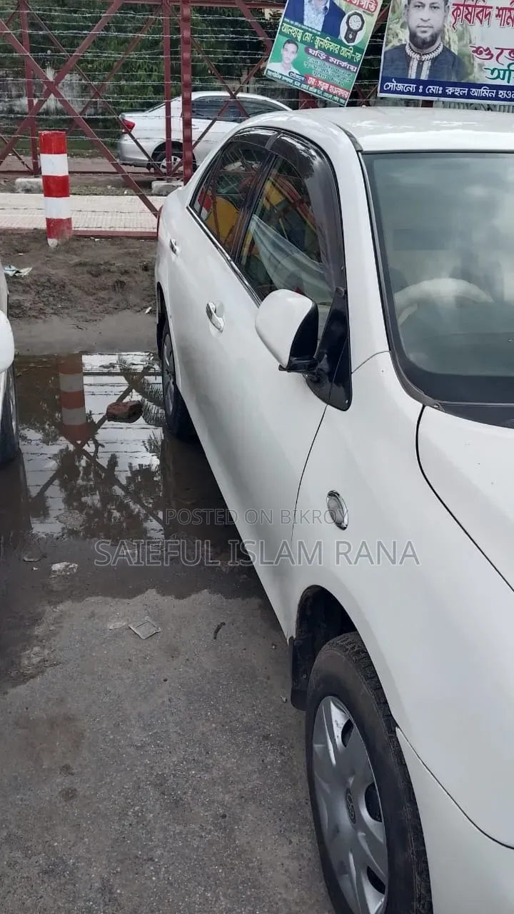 Toyota Axio 2008 Pearl