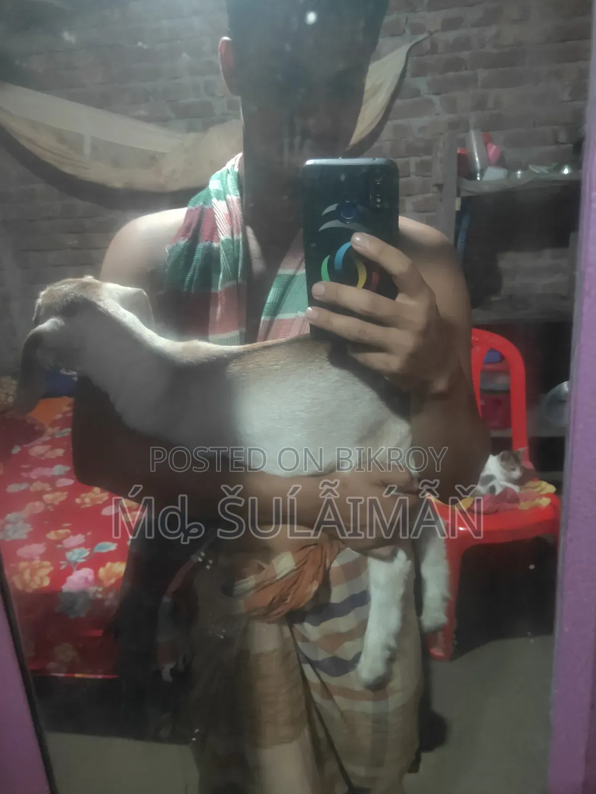 Realme P3 Pro 128 GB Blue