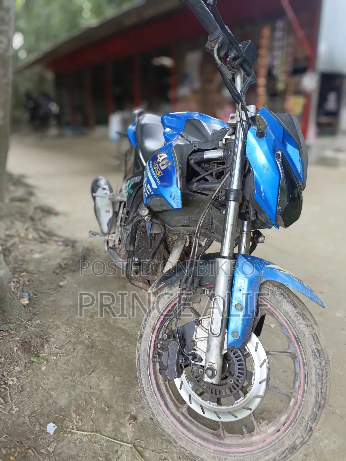 Roadmaster Rapido 165 2022 Blue