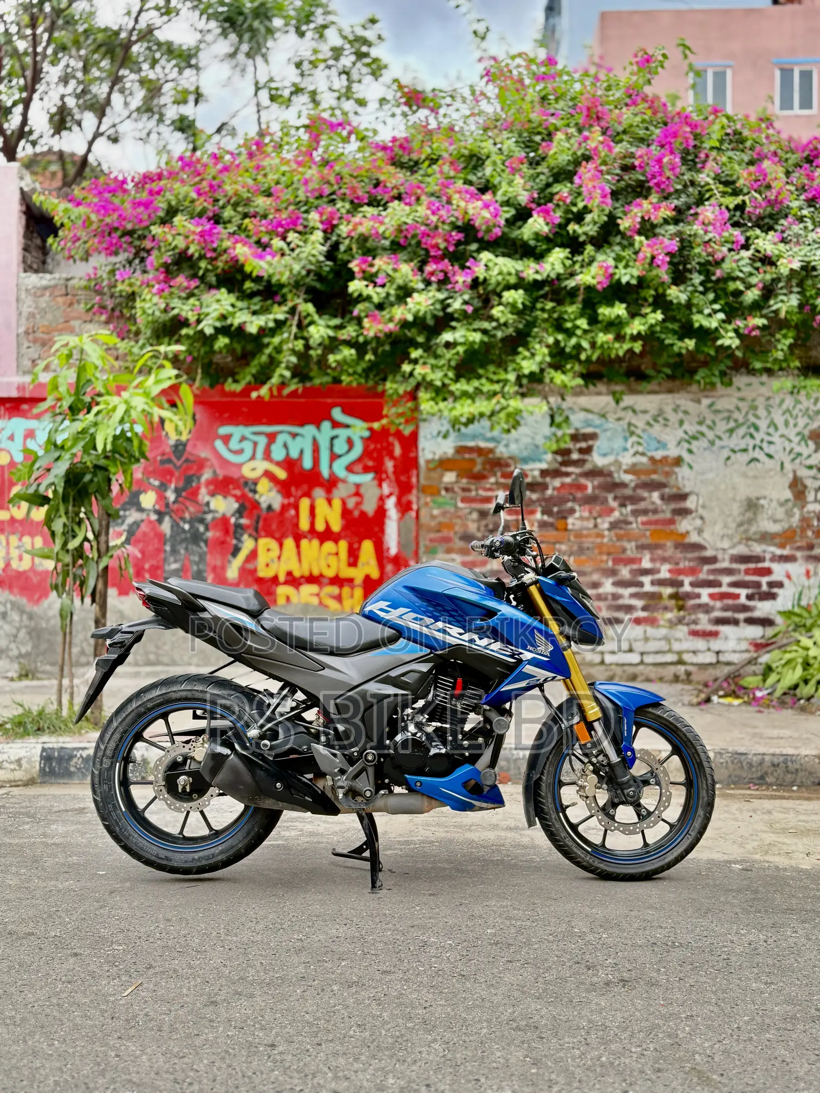 হোন্ডা হর্নেট ২০২৪ ব্লু