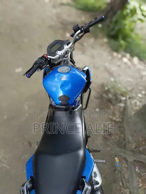 Roadmaster Rapido 165 2018 Blue
