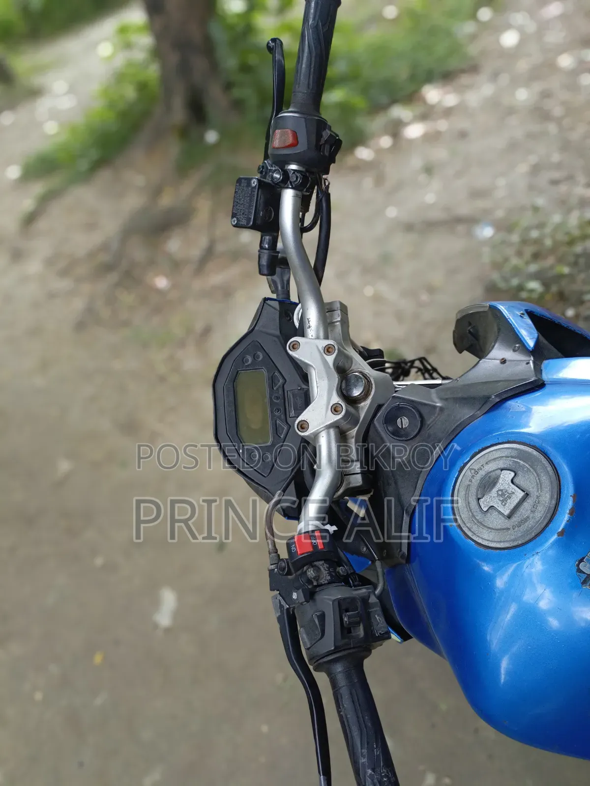 Roadmaster Rapido 165 2018 Blue