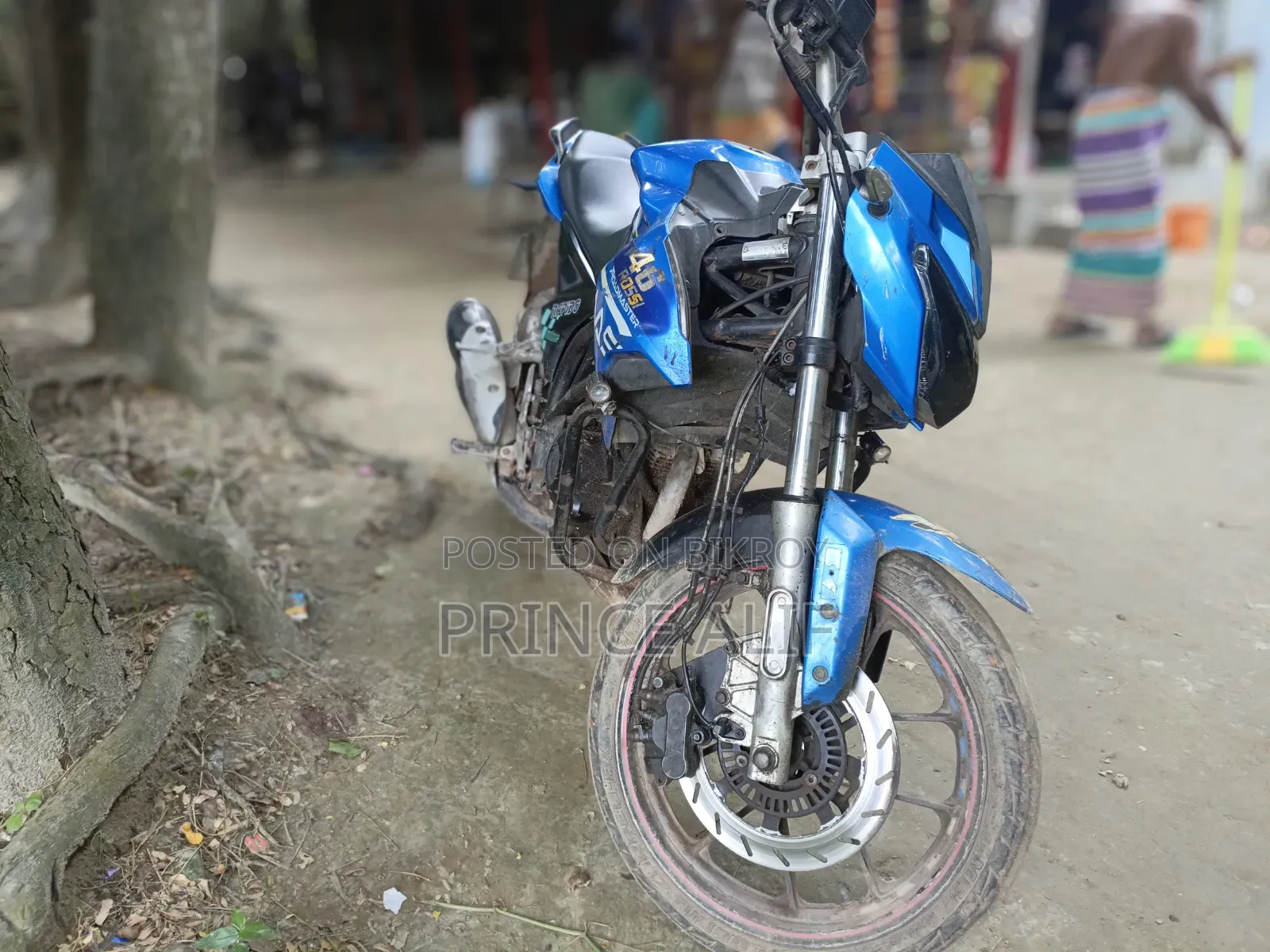 Roadmaster Rapido 165 2018 Blue