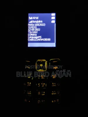 Nokia 110 Blue