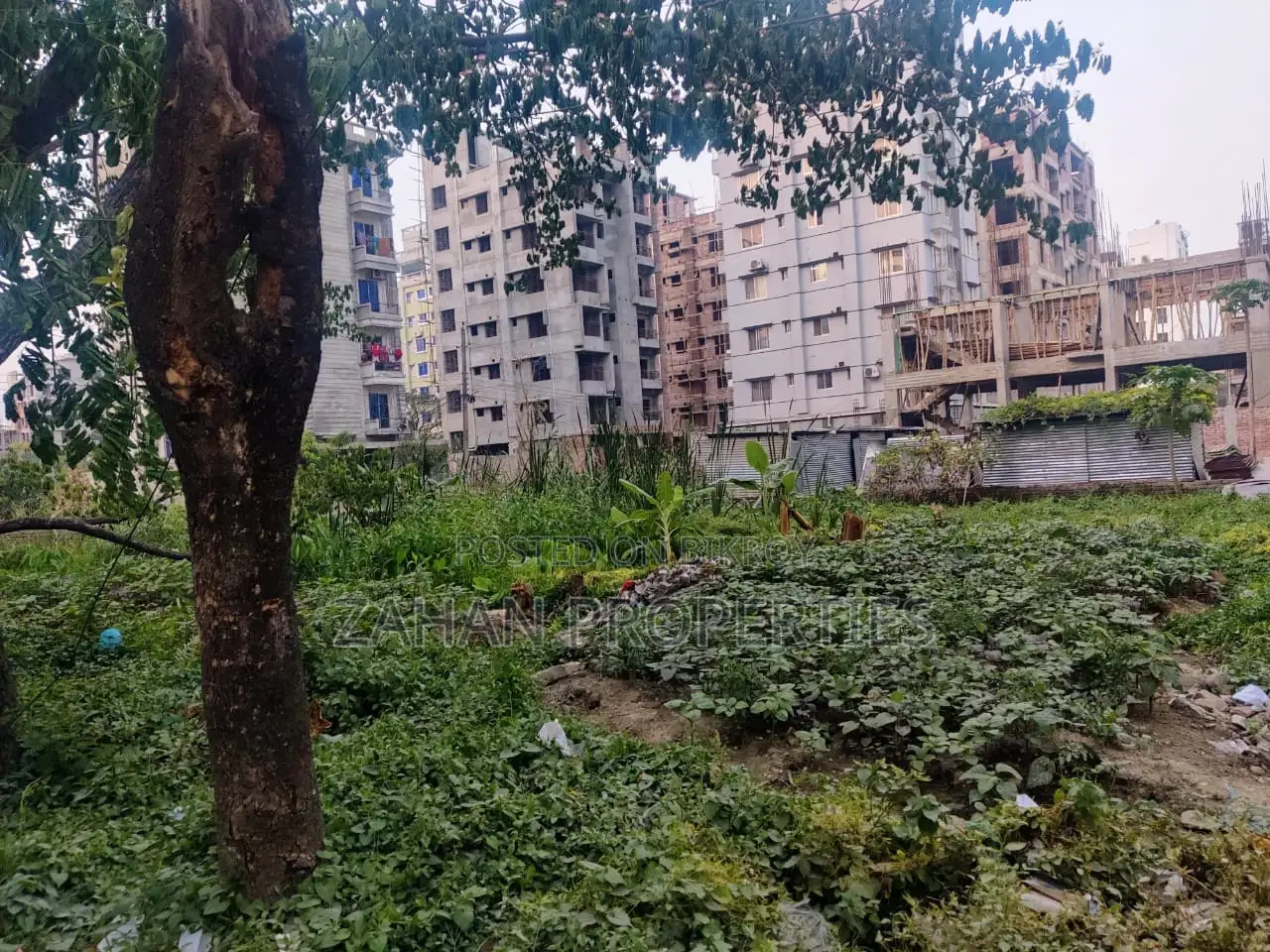 সামনের রাস্তা ৫০ ফুট আই ব্লক ২০ কাঠা প্লট বিক্রয়