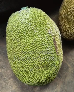 পাকা কাঠাল