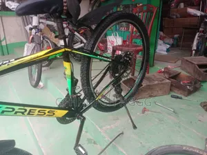 Selling the bicycle