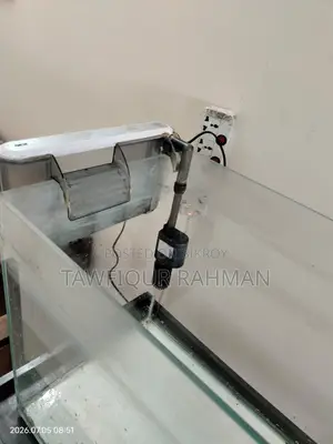 Aquarium Full Setup