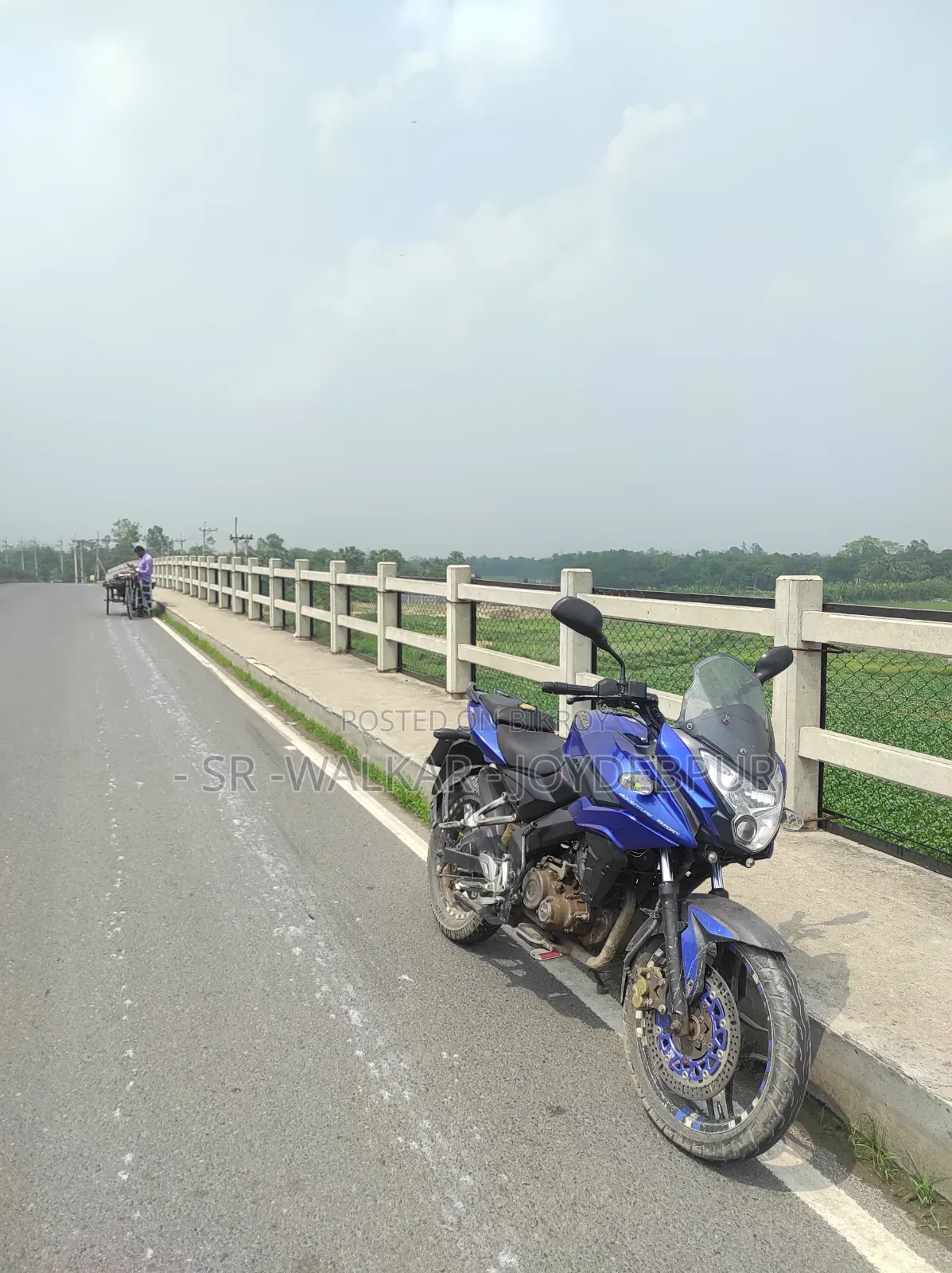 বাজাজ পালসার ১৫০ ২০১৬ নীল