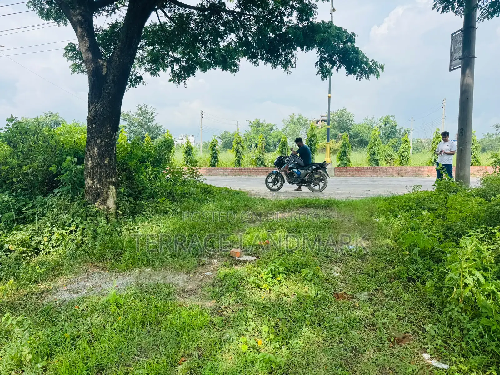 Big 5 Katha Plot On M Block Bashundhara