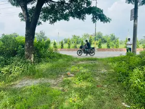 Big 5 Katha Plot On M Block Bashundhara