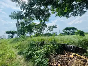 Big 5 Katha Plot On M Block Bashundhara