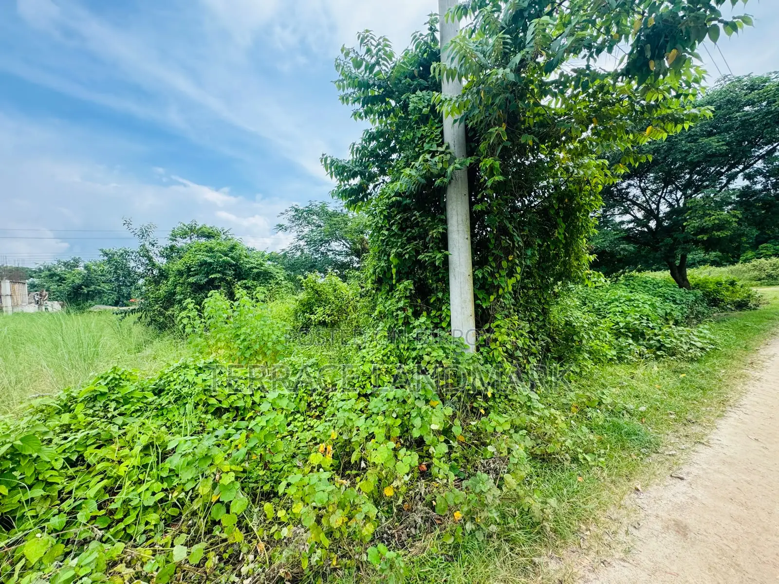 Big 21.5 Katha Plot In N Block