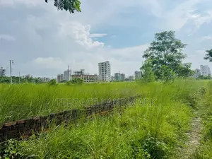 Big 21.5 Katha Plot In N Block
