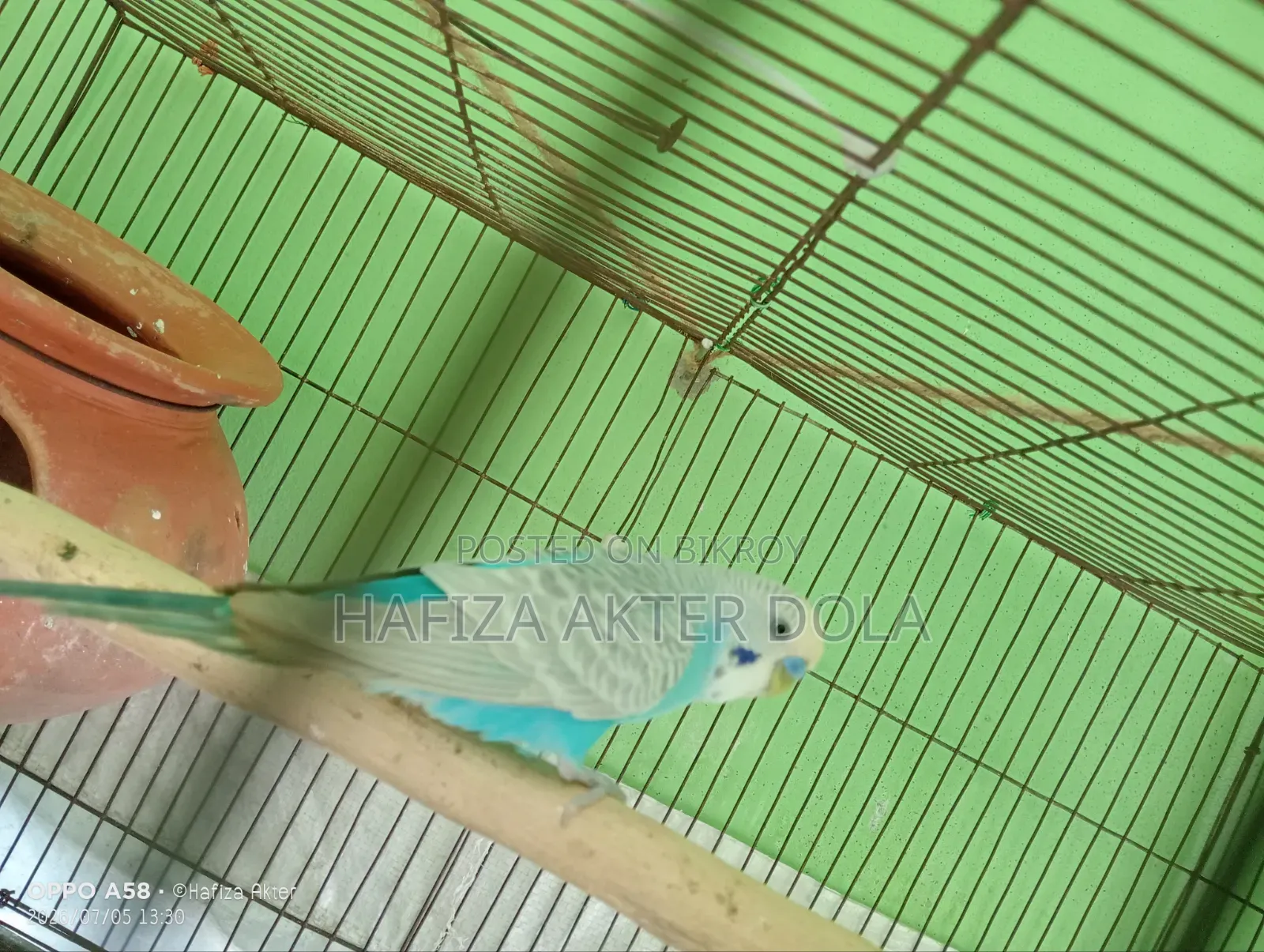আজেন্ট বিক্রি হবে