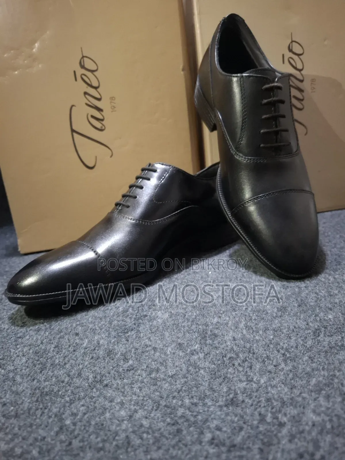 Oxford Shoe