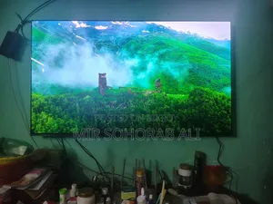 Sony Bravia 8 TV