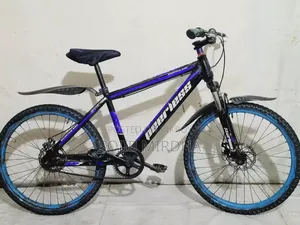 Non Gear Cycle
