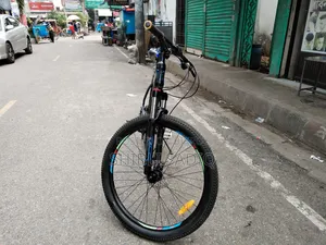 দুরন্ত বাইসাইকেল