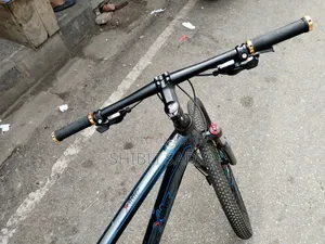দুরন্ত বাইসাইকেল