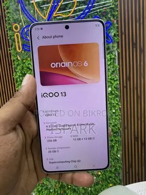 iQOO 13 256 GB Silver