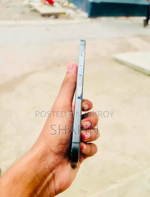 Apple iPhone 12 Pro Max 256 GB Blue