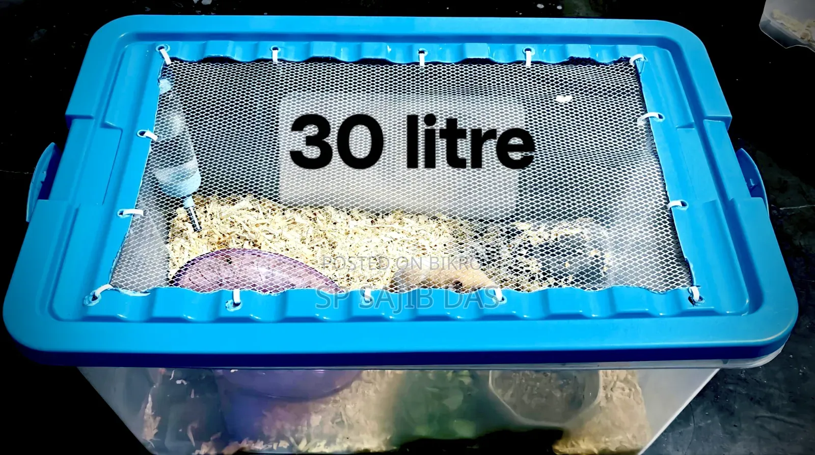 Hamster Setup